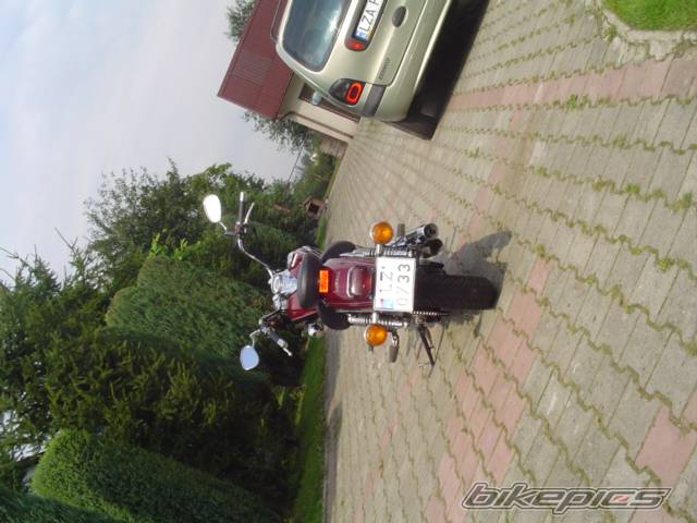 Photo 297883