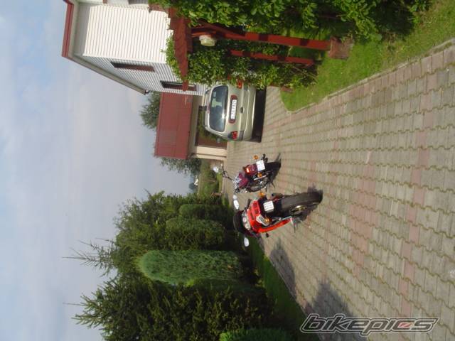 Photo 297885