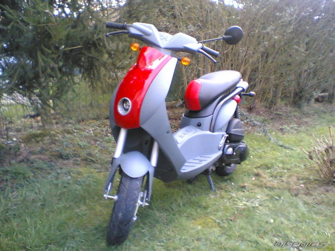 Photo 297887