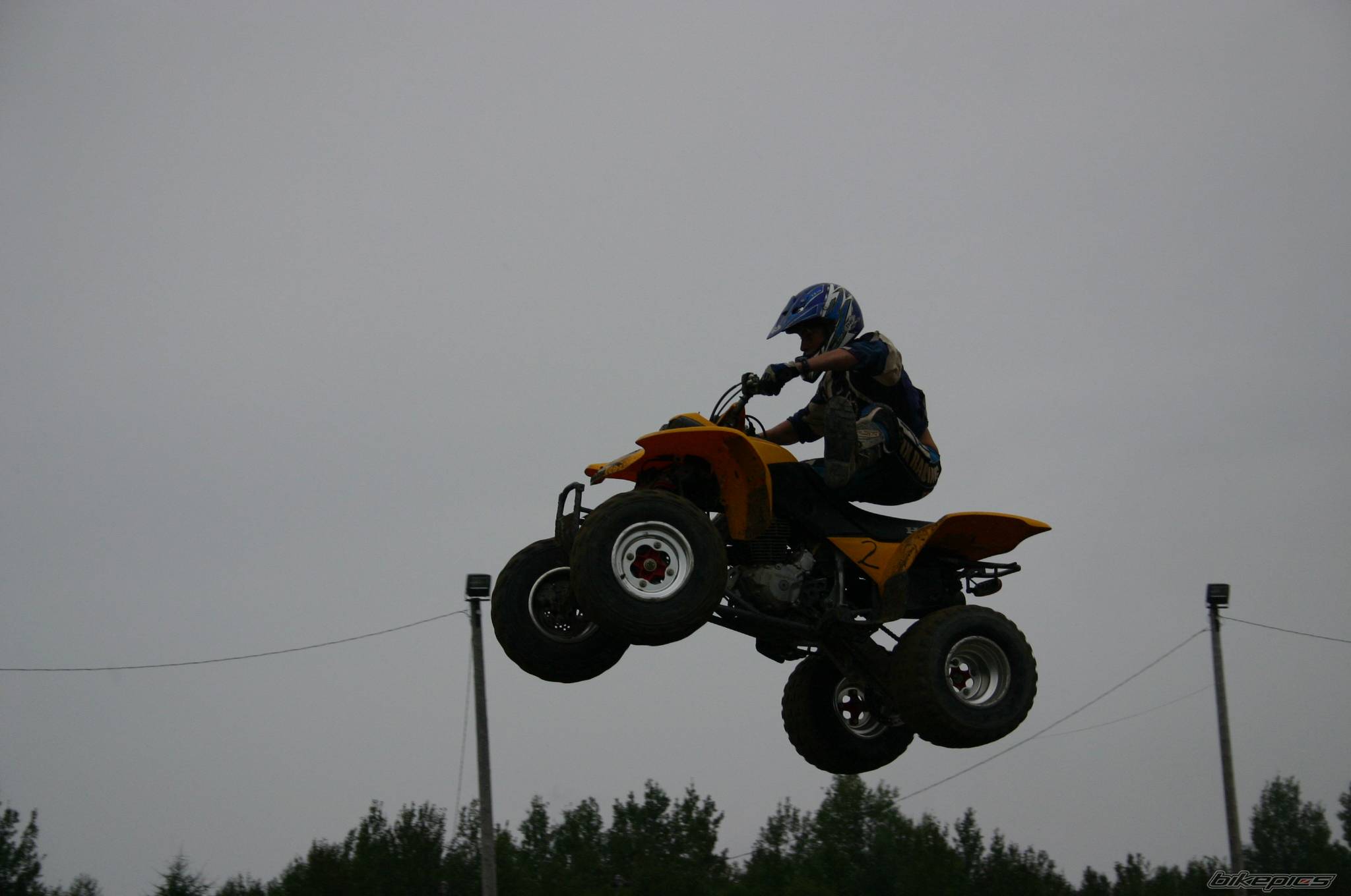 Photo 297897