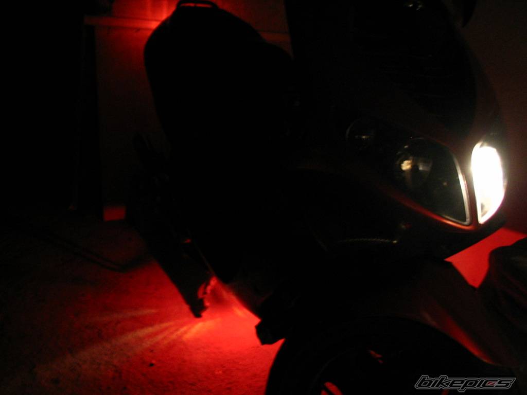 Photo 297917
