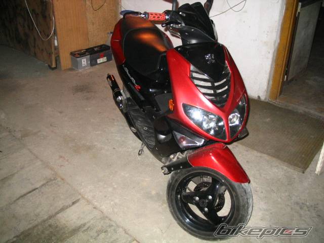 Photo 297920