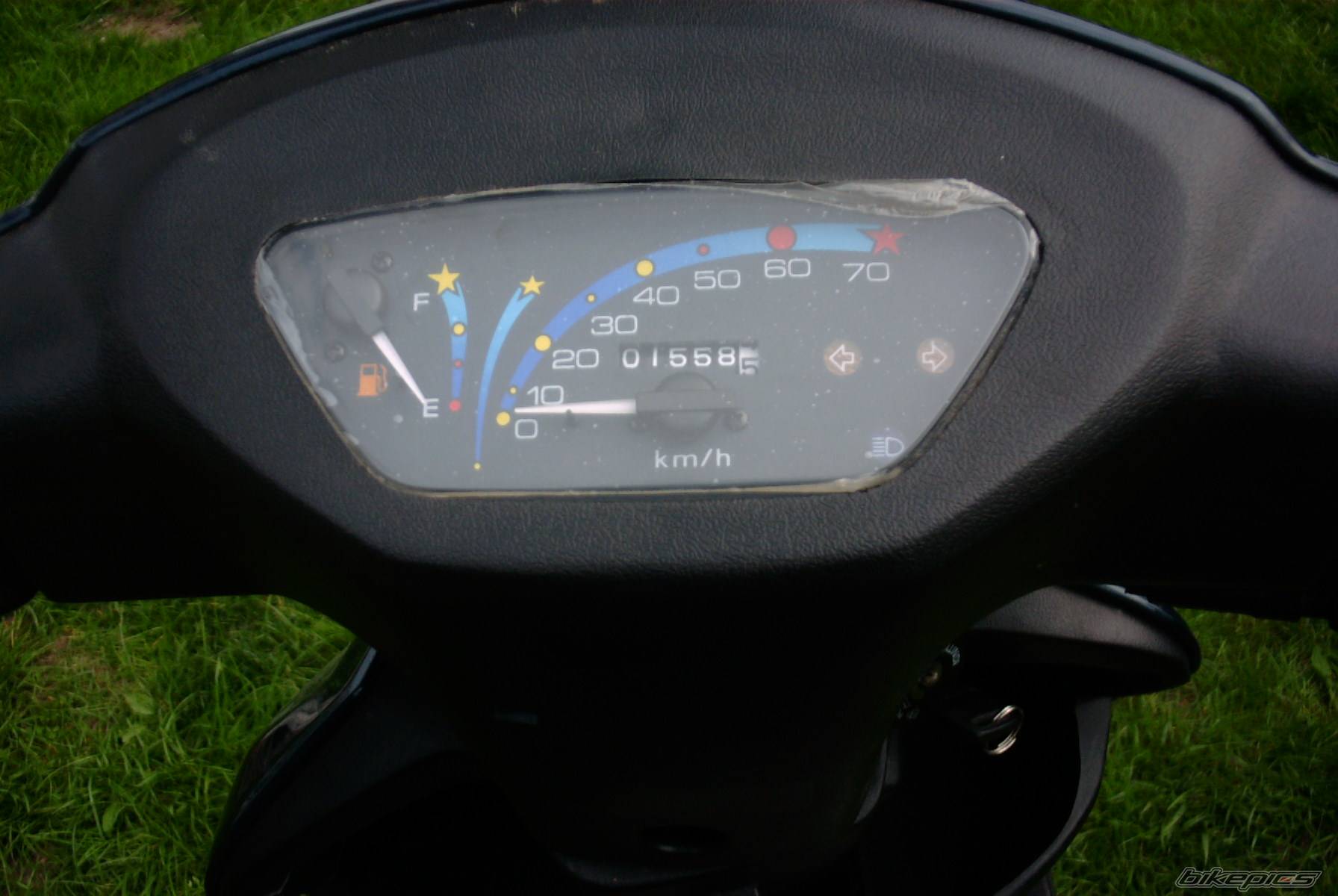 Photo 297942