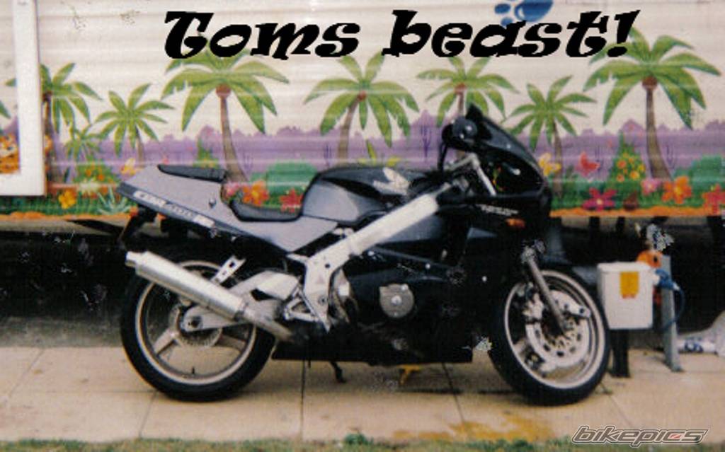 Bike Photo 297957