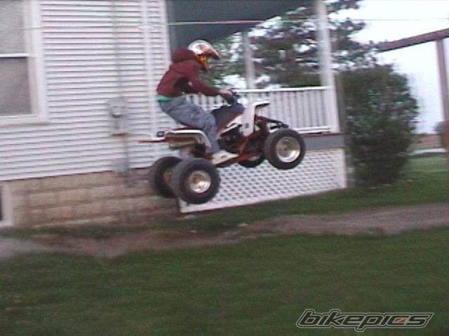 Photo 297975