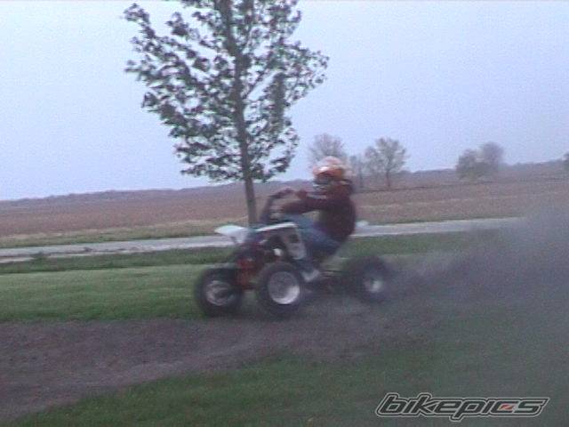 Photo 297977