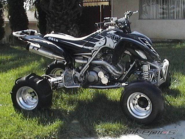 Photo 298121