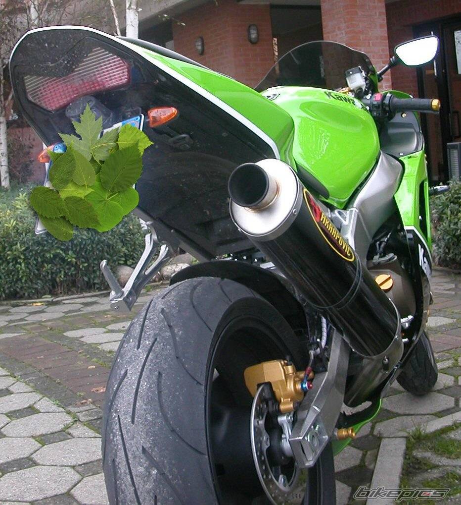 Photo 298149
