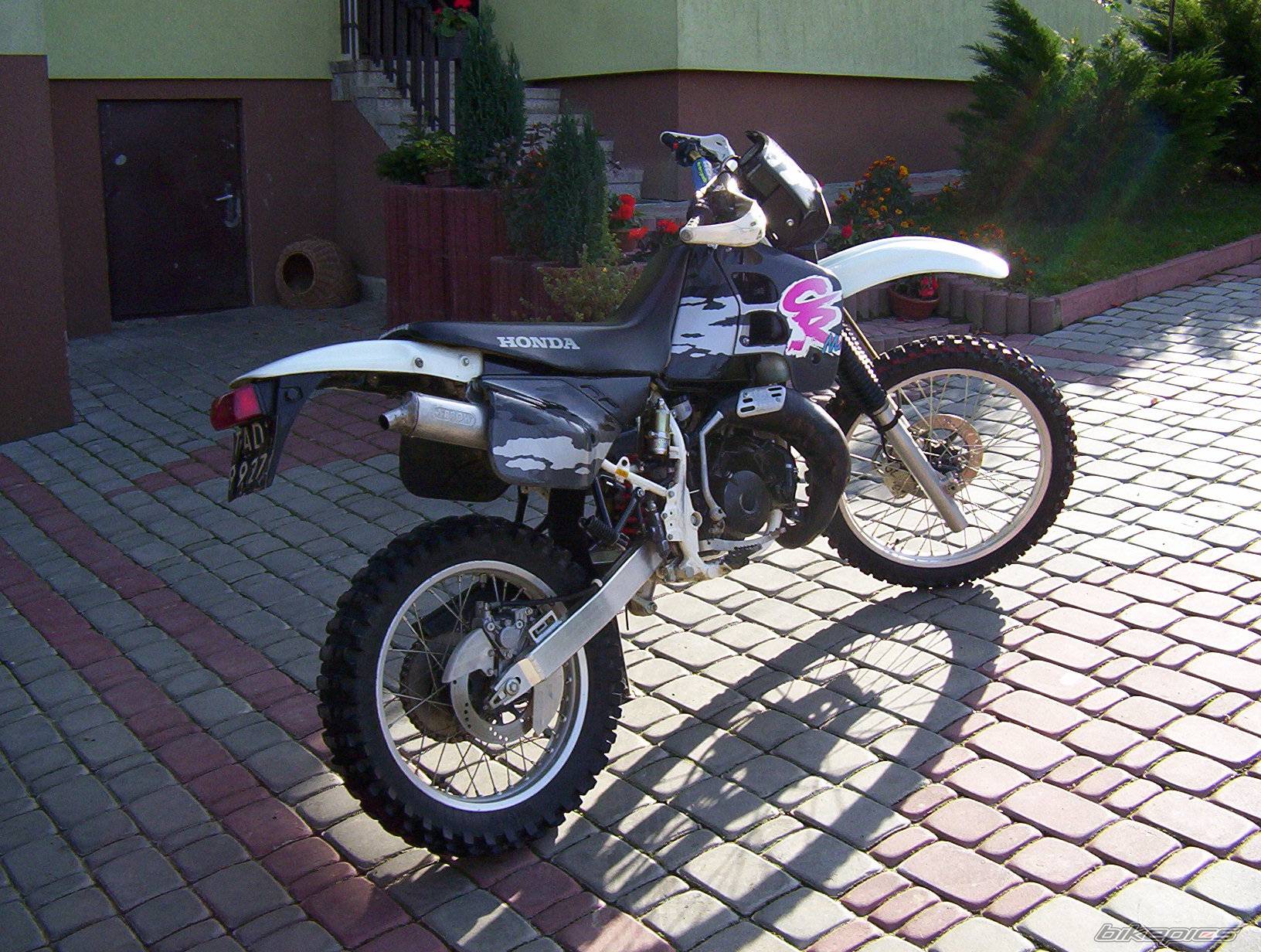 Photo 298179