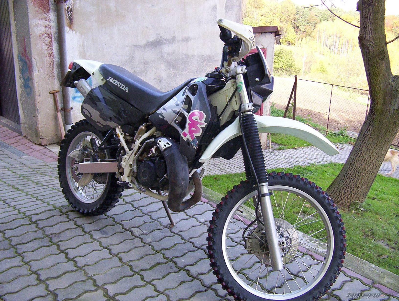 Photo 298183