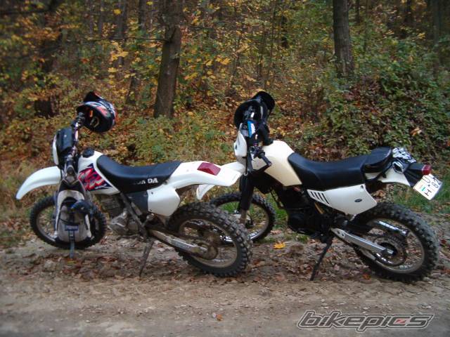 Photo 298186