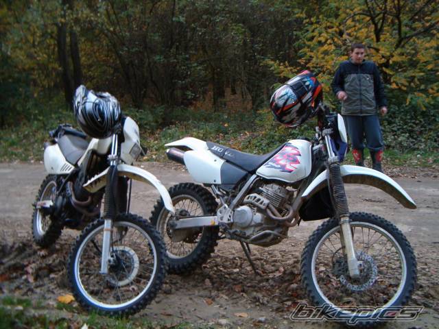 Photo 298190