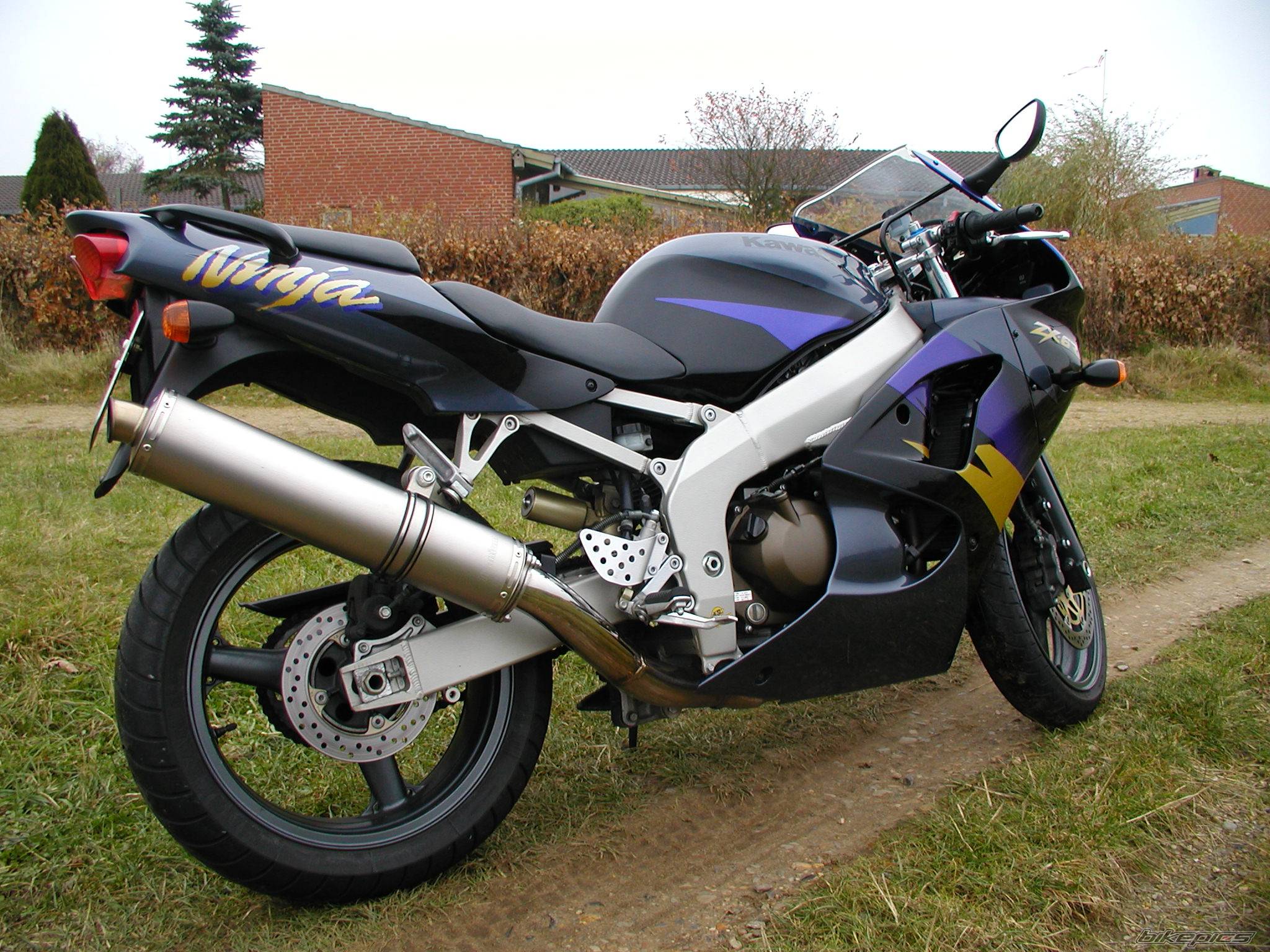 Photo 298221