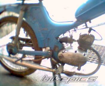 Photo 298255