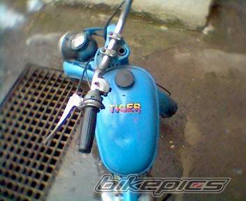 Photo 298263