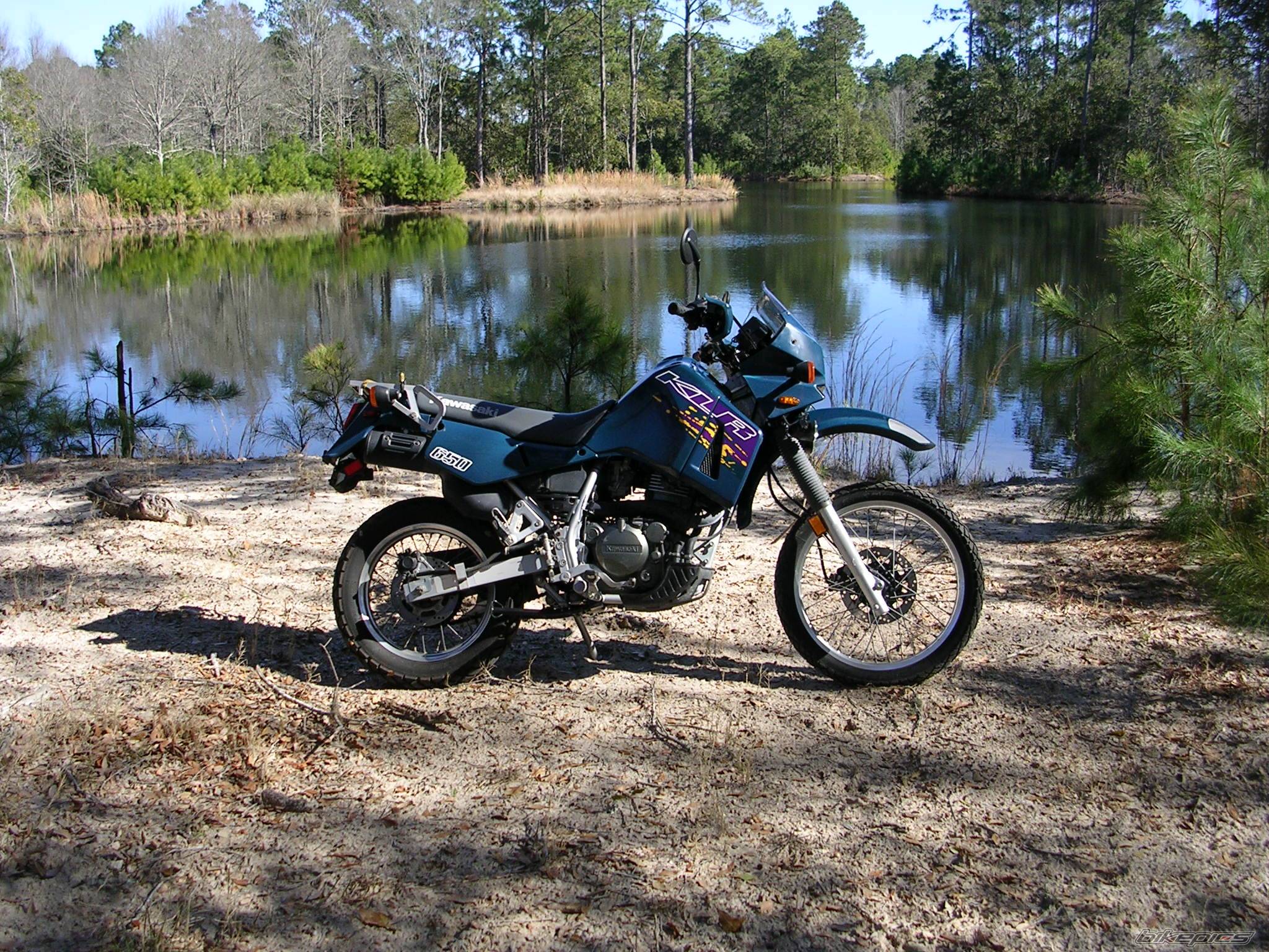 Photo 298290