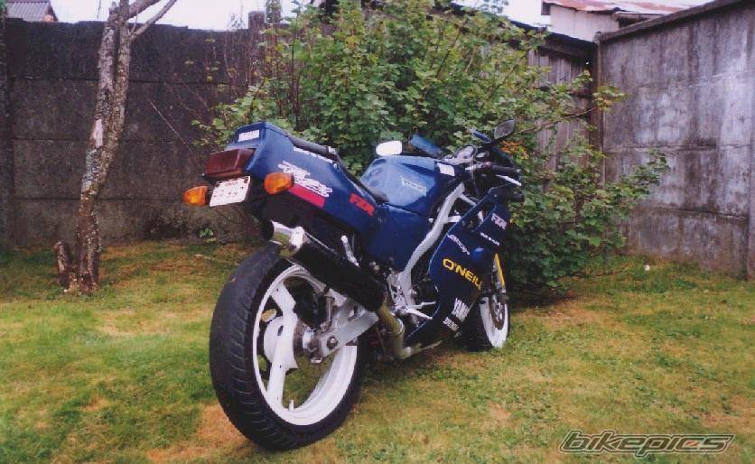 Photo 298383