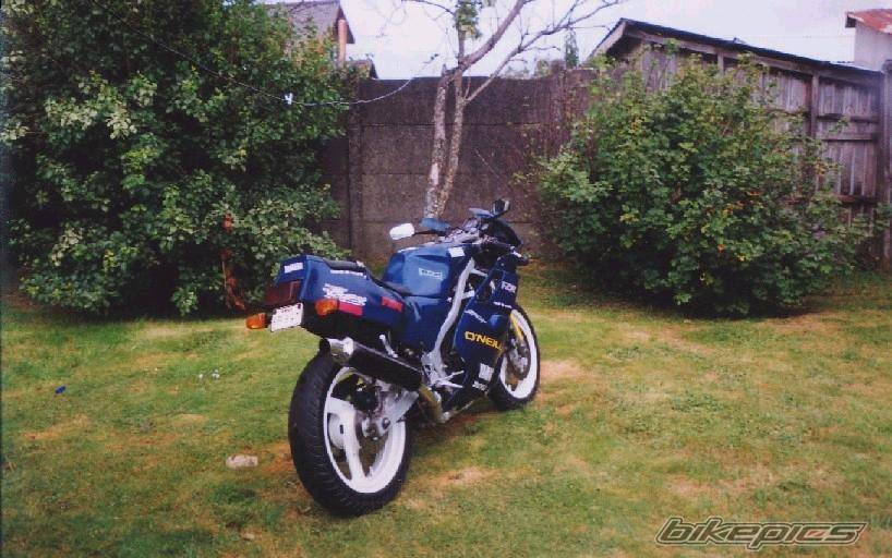 Photo 298386