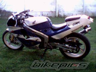 Photo 298395