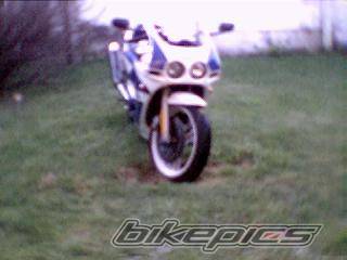 Photo 298399