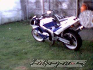 Photo 298404