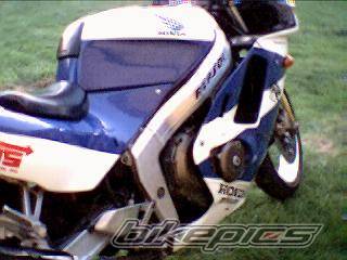 Photo 298406