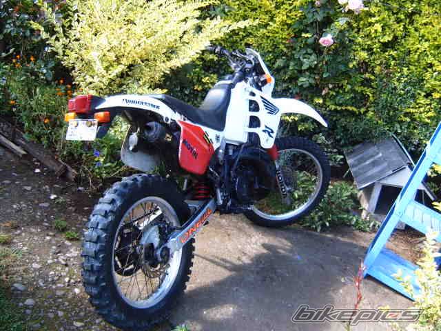 Photo 298410