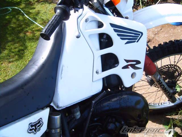 Photo 298413