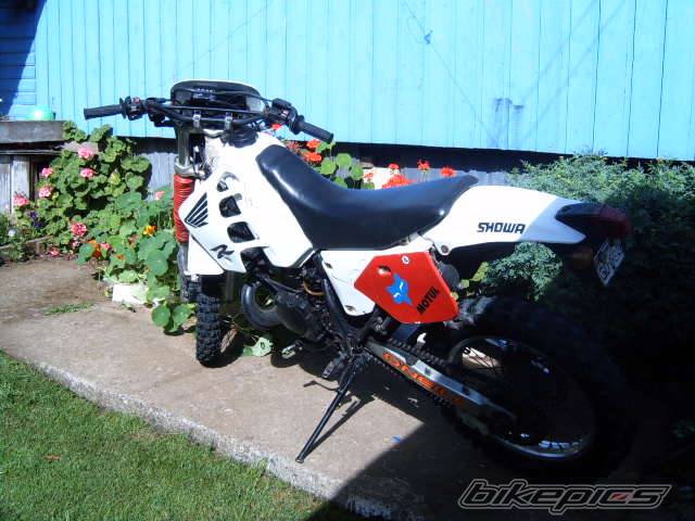 Photo 298415