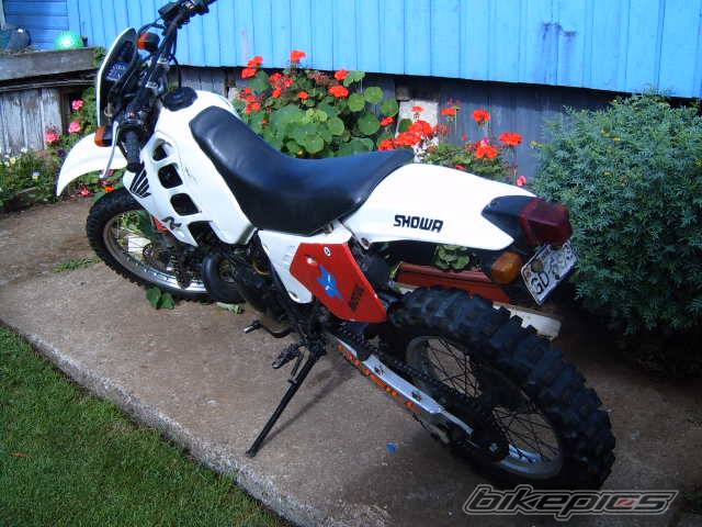 Bike Photo 298422