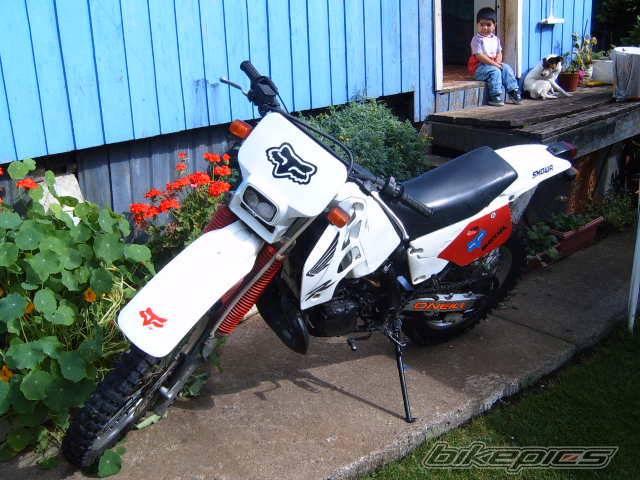 Bike Photo 298423