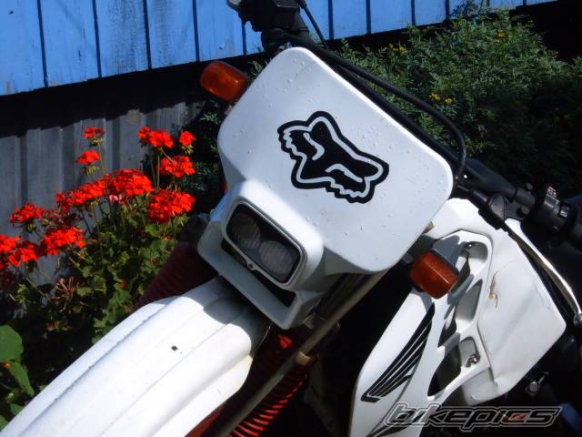 Photo 298424