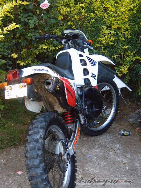 Photo 298430