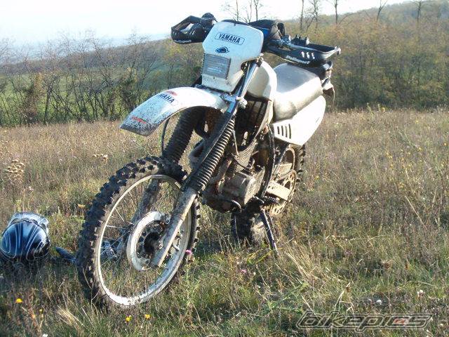 Photo 298440