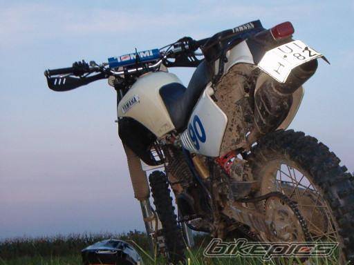 Photo 298442
