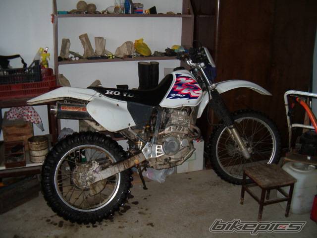 Photo 298444