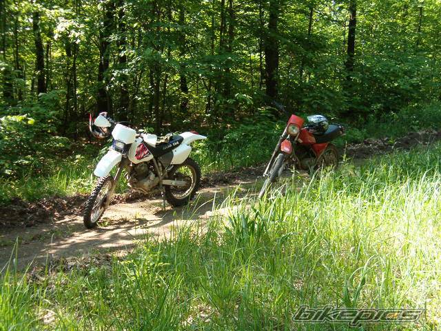 Photo 298447
