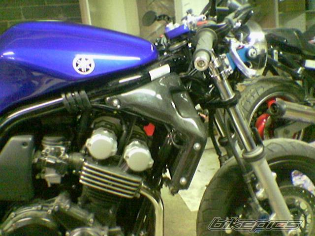 Photo 298479