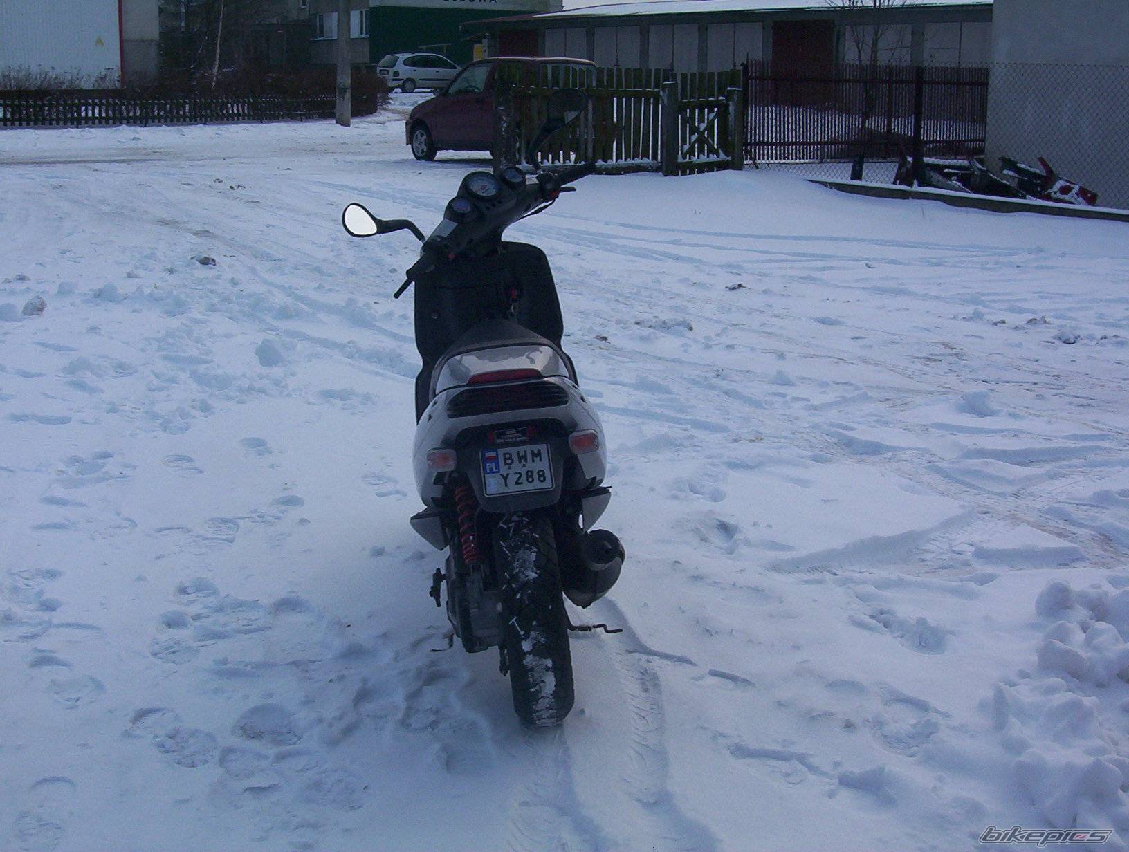 Photo 298502