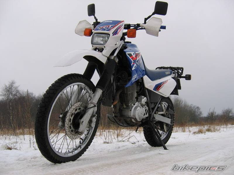 Photo 298542