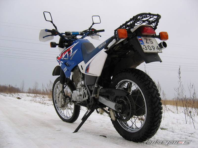 Photo 298543