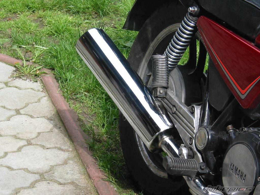 Photo 298593