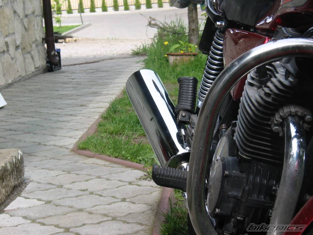 Photo 298594