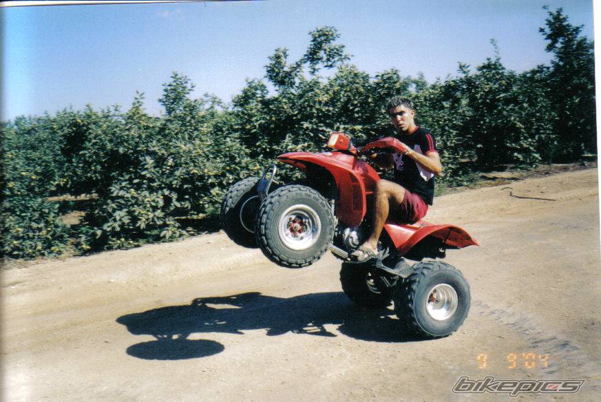 Photo 298632