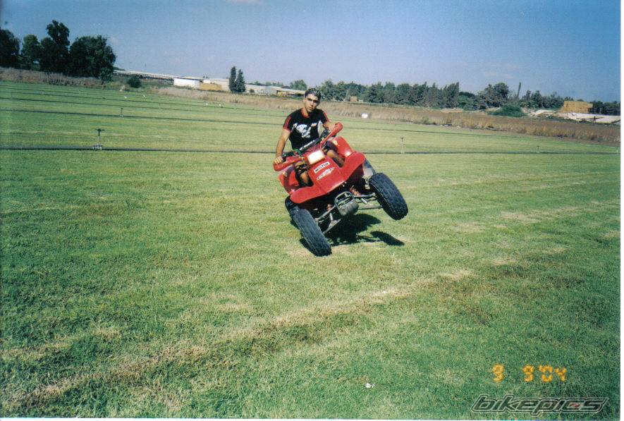Photo 298633