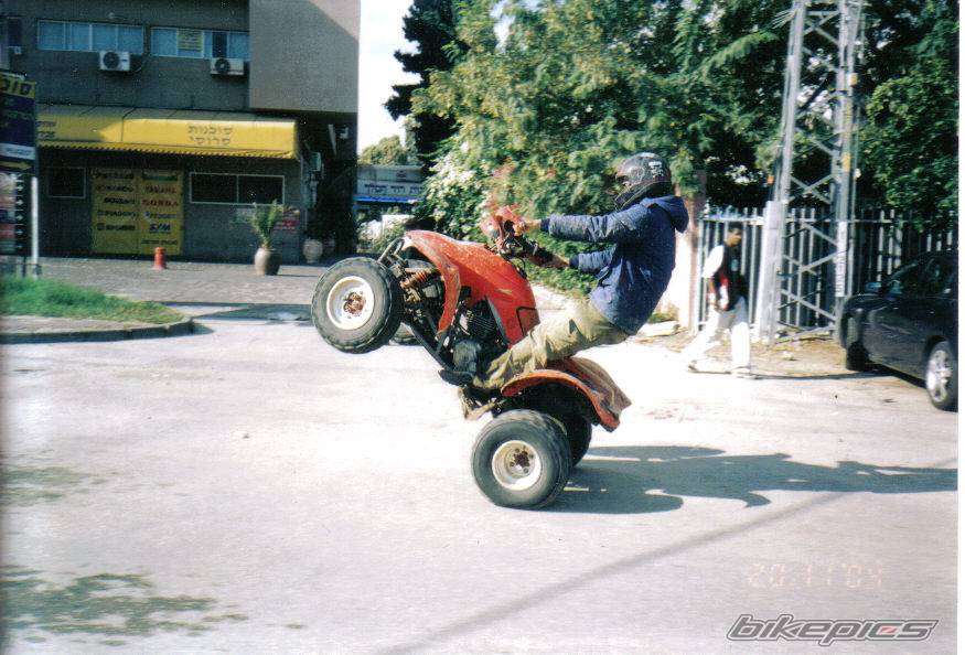 Photo 298637