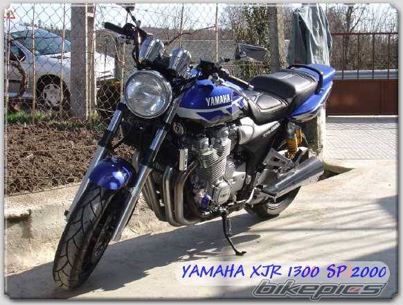 Photo 298693