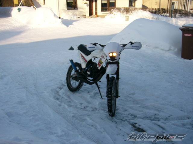 Photo 298774