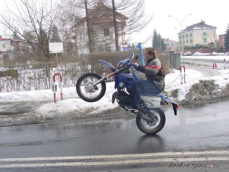 Photo 298830