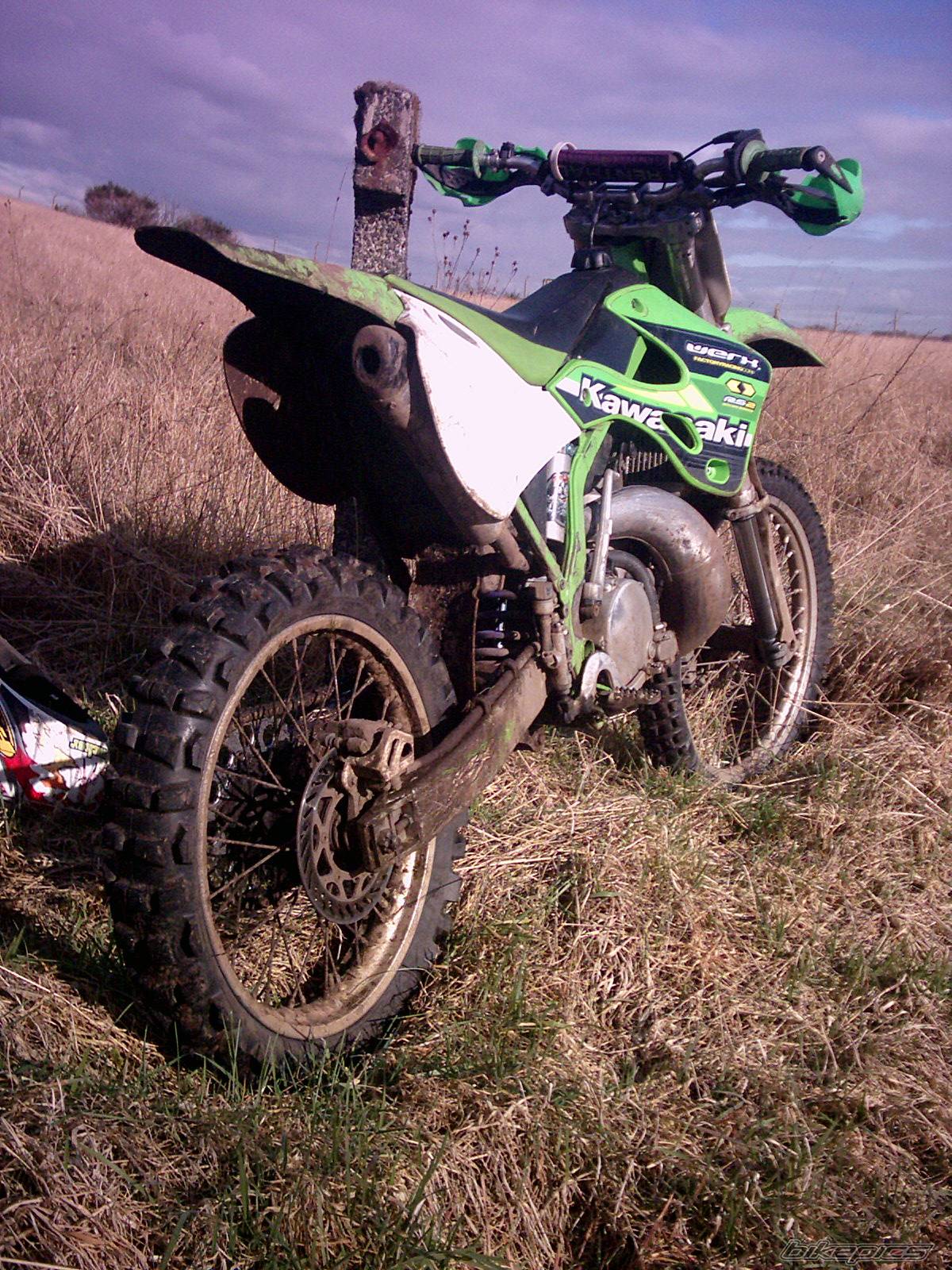 Photo 298835